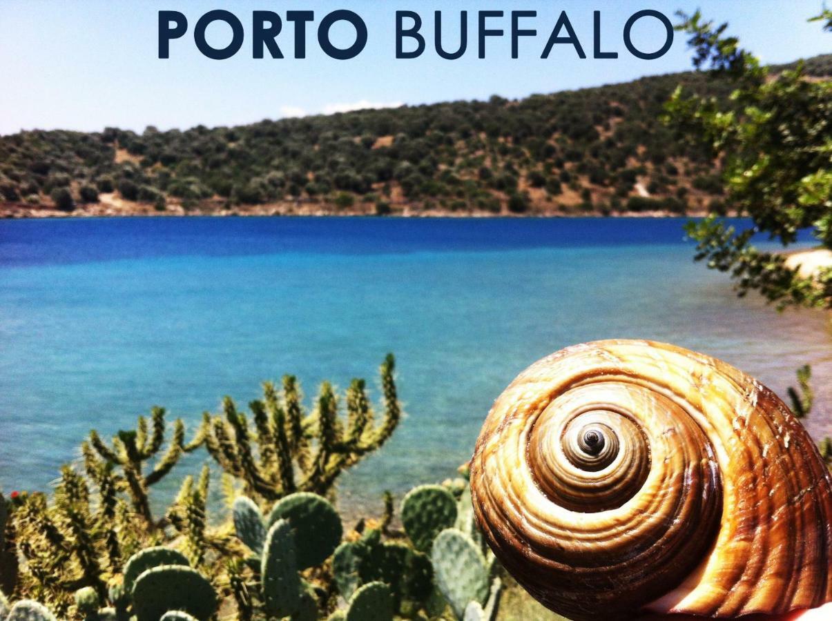 Sea Front Studio - Porto Boufalo - Evia Екстериор снимка