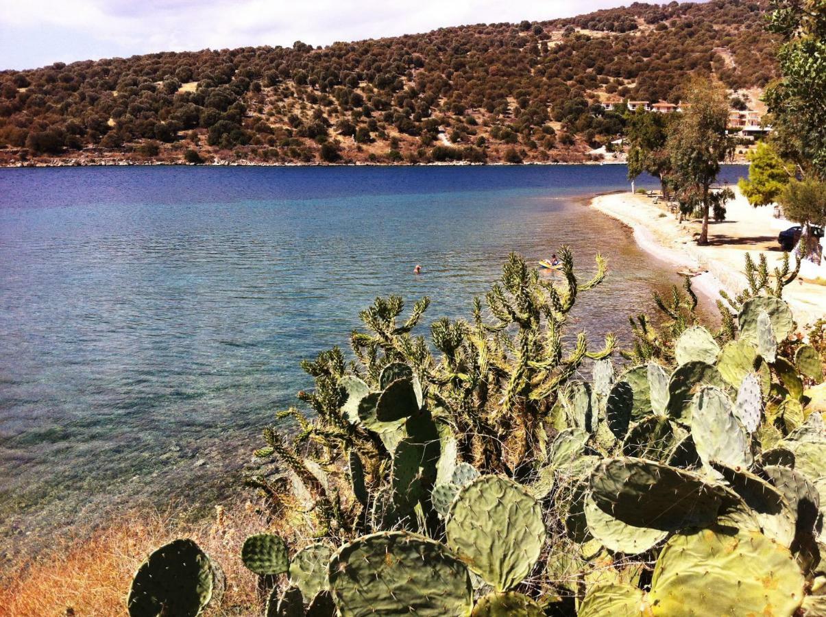 Sea Front Studio - Porto Boufalo - Evia Екстериор снимка